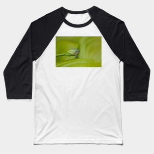 Tickle Baseball T-Shirt